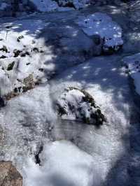 剛從轎子雪山回來,血淚教訓能救一個是一個