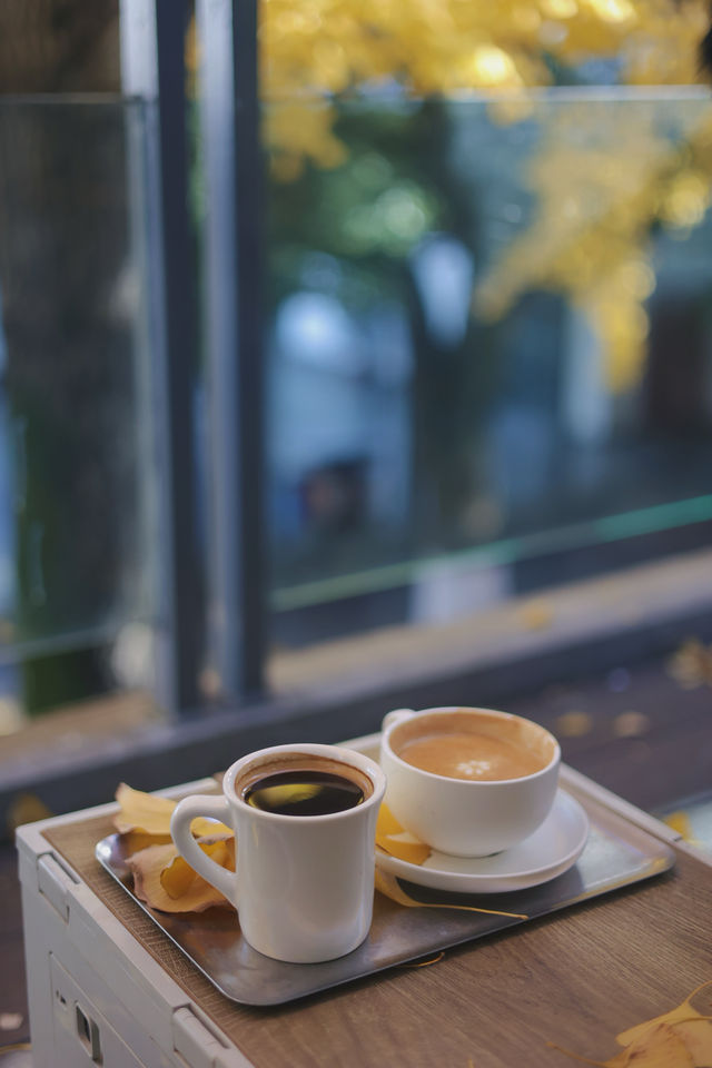 圖書館和銀杏真的絕配｜常熟