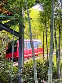 一橋一景醉溧陽