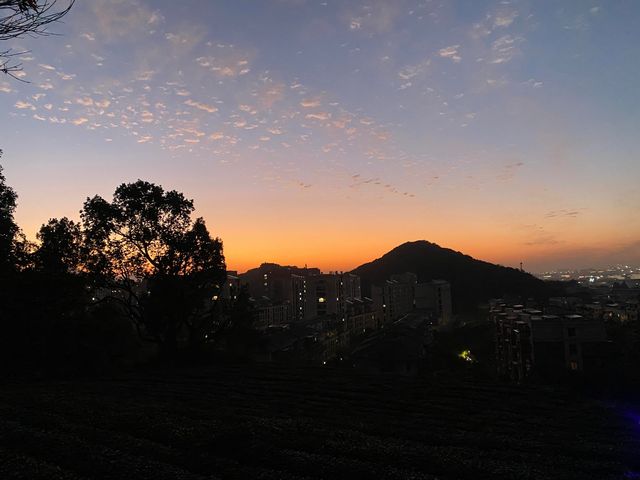 11.29週末plog |杭州小豬線徒步