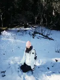 長坪溝美哭！雪山草甸徒步真的太治癒