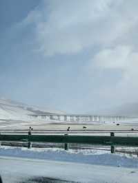 北京3h直達!樺皮嶺冬日封神攻略雪境拍照