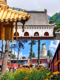 忻州五臺山逆朝4日｜輕裝上陣