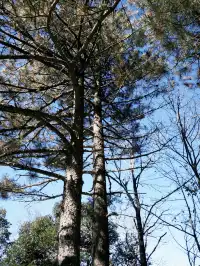 週末女大單兵武功山 全程6h (住山腳版)