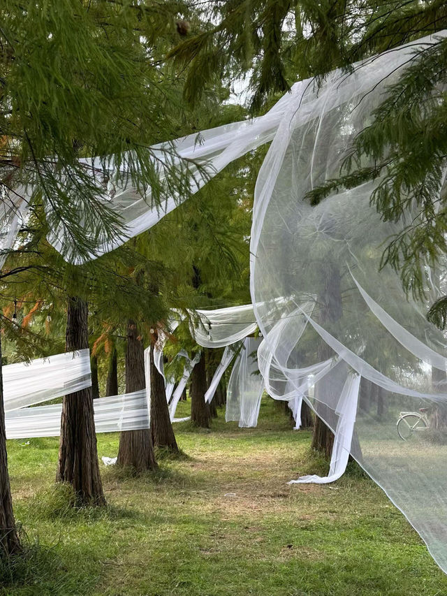 長沙最美鄉村市集打卡攻略陽光灑落的日子也太適合逛gai了! 長沙最美鄉村市集打卡攻略陽光灑落的日子也太適合逛gai了!