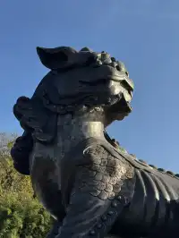 九華山的磁場真的太強了