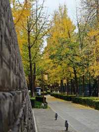 西安城牆賞秋好去處