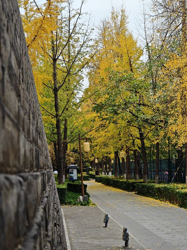 西安城牆賞秋好去處 西安城牆賞秋好去處