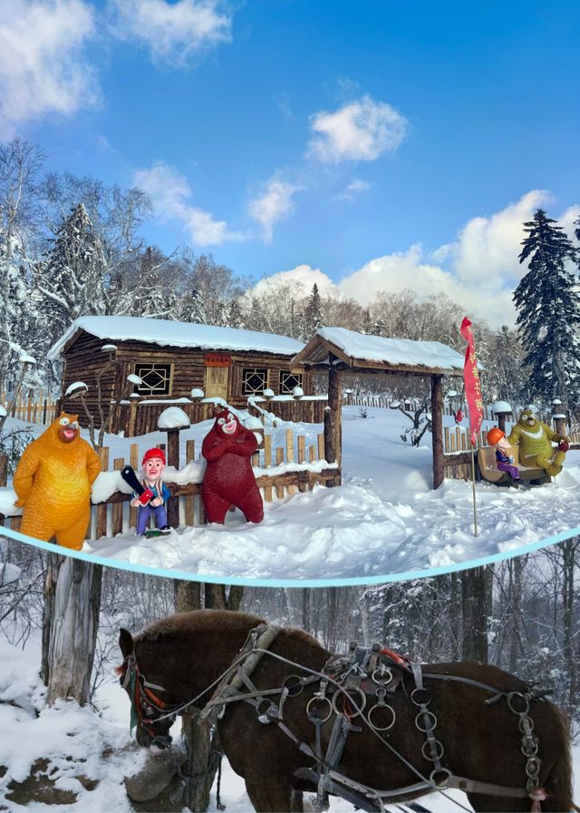 在雪谷發現這家寶藏民宿!老闆手藝絕了 在雪谷發現這家寶藏民宿!老闆手藝絕了