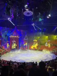 上海野生動物園最全帶娃攻略