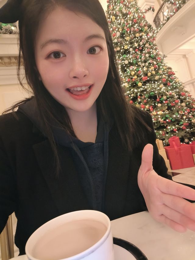 食物會說話，聖誕在發芽