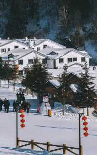 美景正當時,童話雪鄉歡迎大家來打卡