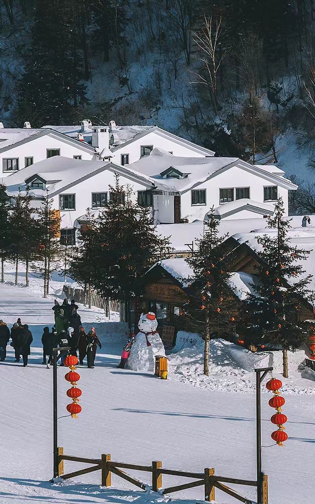 美景正當時,童話雪鄉歡迎大家來打卡 美景正當時,童話雪鄉歡迎大家來打卡