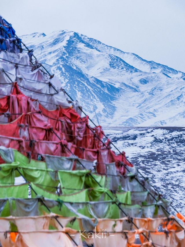 獨享青海冬日秘境 獨享青海冬日秘境