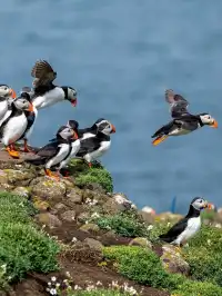 春節去英國!冬日之旅這次真的太值得了!