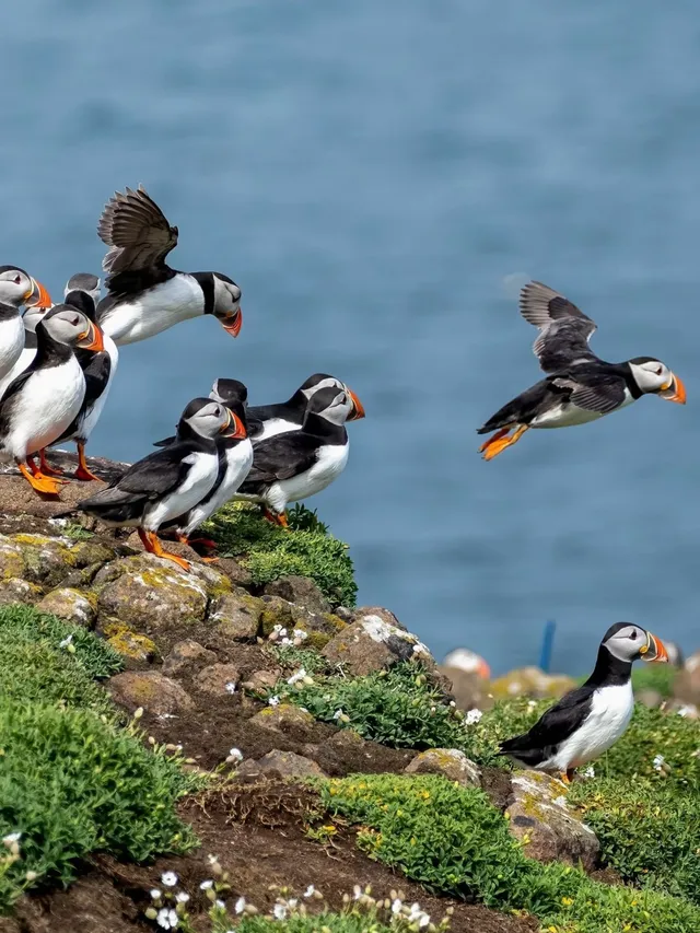 春節去英國!冬日之旅這次真的太值得了! 春節去英國!冬日之旅這次真的太值得了!