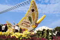 成都!!漫花莊園的菊花太前衛了!!!