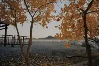 蘭州-敦煌 河西走廊 7天遊怎麼玩？Part 3