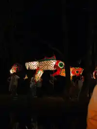 向全世界安利徽州魚燈!!(附12月巡遊時間