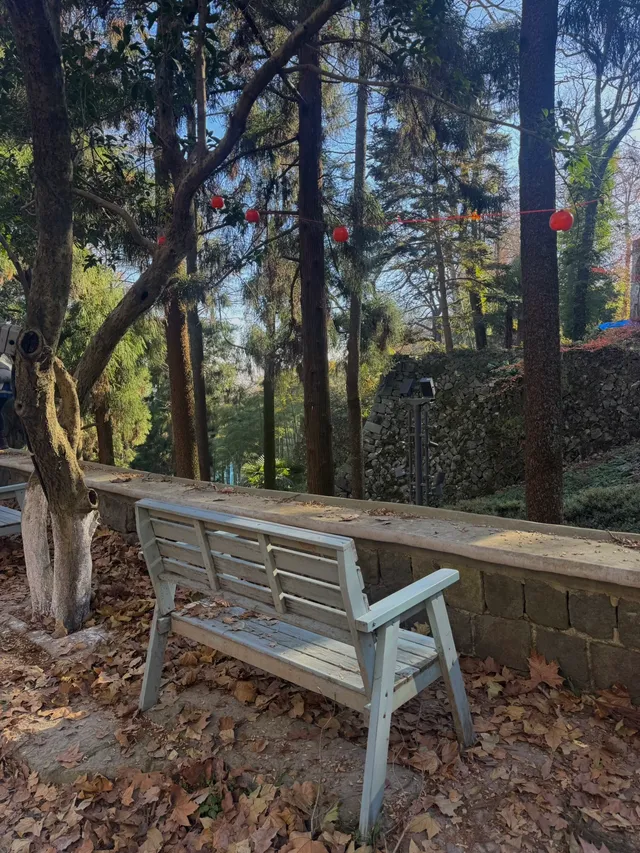 莫干山蔣公古道 請大膽浪費時間給秋天