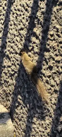 上海出發~三清山篁嶺兩日遊(三清山篇)