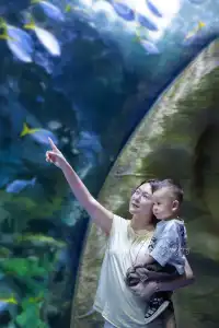 拍半小時!加修了幾百!原因太好看