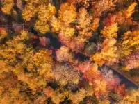 連夜來到南京只為拍到這幾張