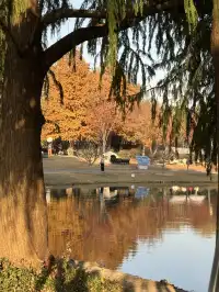 上海辰山植物園|去過超十次,還是想去!