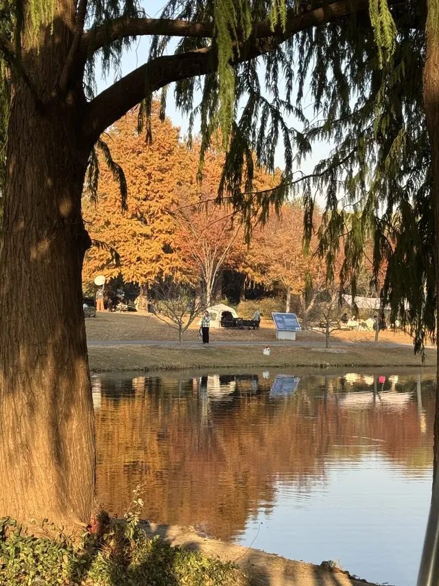 上海辰山植物園|去過超十次,還是想去! 上海辰山植物園|去過超十次,還是想去!