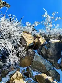 12月中莽山現狀,冷到哭,崩潰到想逃...