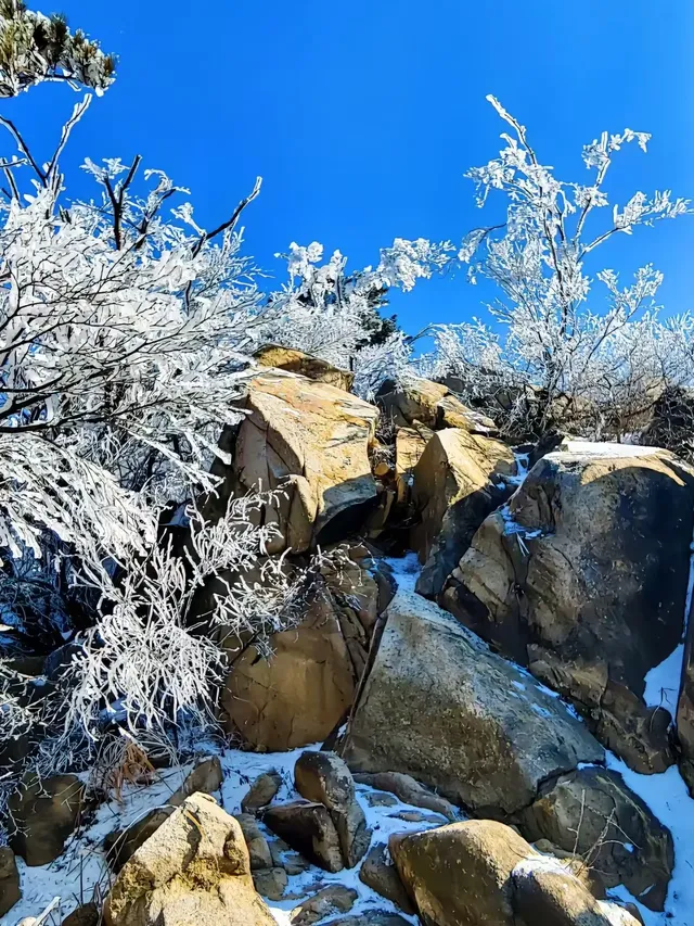 12月中莽山現狀,冷到哭,崩潰到想逃... 12月中莽山現狀,冷到哭,崩潰到想逃...