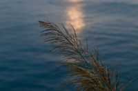 汕頭隱秘海島全攻略