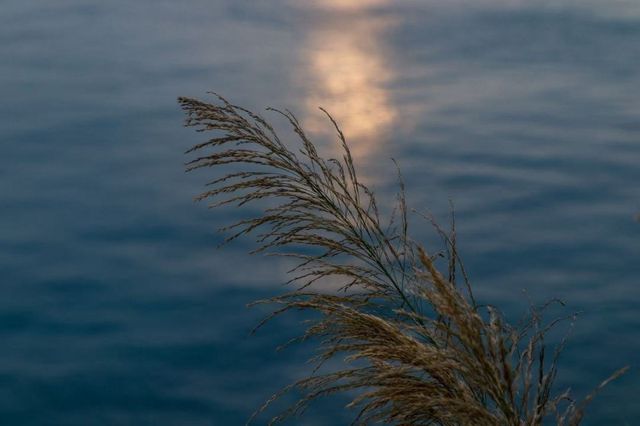 汕頭隱秘海島全攻略