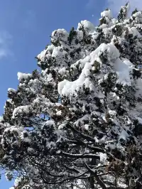 12月淡季去郴州旅遊攻略,趕緊碼住超全