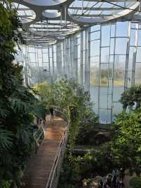 Shanghai Greenhouse Garden – всё, что нужно знать