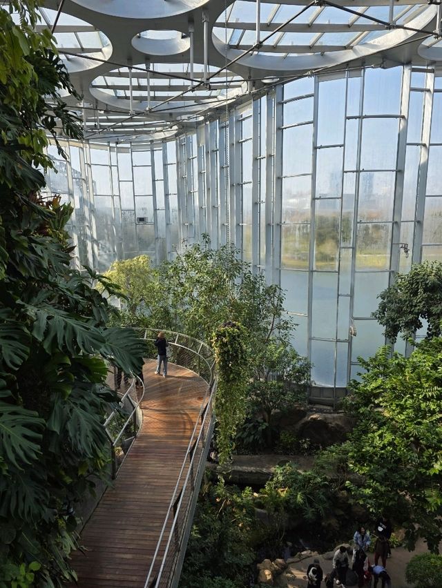 Shanghai Greenhouse Garden – всё, что нужно знать Shanghai Greenhouse Garden – всё, что нужно знать