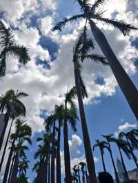 無錫→香港四天三晚|迪士尼+黃金+山頂,懶人專屬攻略!