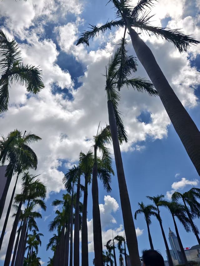 無錫→香港四天三晚|迪士尼+黃金+山頂,懶人專屬攻略! 無錫→香港四天三晚|迪士尼+黃金+山頂,懶人專屬攻略!