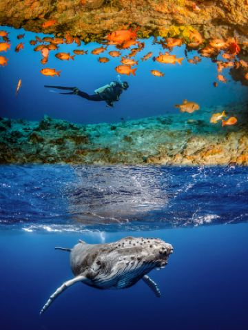 The Only Must-Visit Global Island in a Lifetime