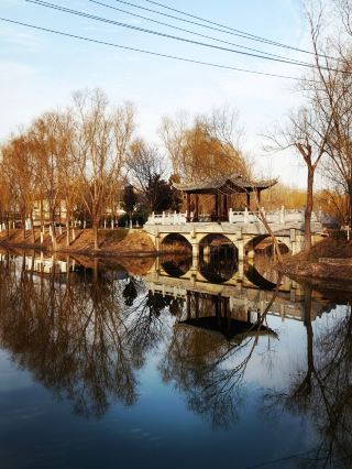 Bengbu Wuhe Longhu Park! A lake hiding numerous beautiful small bridges