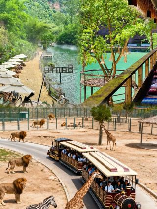 Crazy Animal City 2 Now Showing｜Lanzhou Wildlife Park One-Day Family Tour Guide