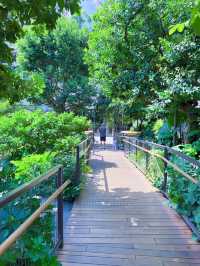 曼谷新晉商業體 centralpark|天際線的步道探秘