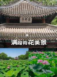 北方也有小江南—河北保定古蓮花池攻略,住宙斯