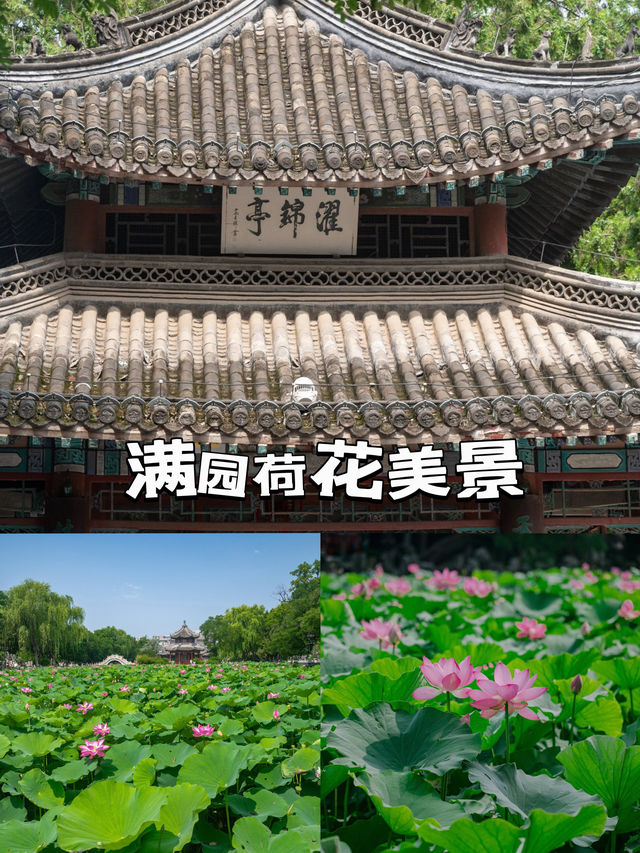 北方也有小江南—河北保定古蓮花池攻略,住宙斯