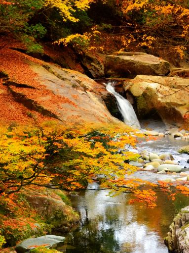Stop obsessing over Japan and Canada; the autumn foliage on this