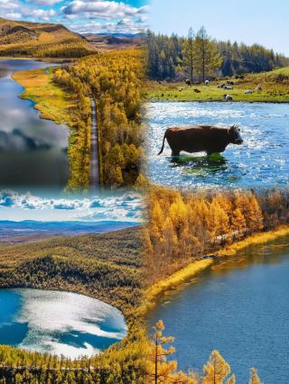 Autumn in the Greater Khingan Mountains blends all the colors of the world into a sea of trees