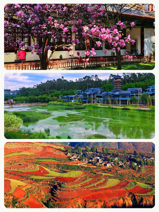 Traveling with kids for the Mid-Autumn Festival and National Day? Here are 8 tried-and-tested, toddler-friendly, and relaxed routes