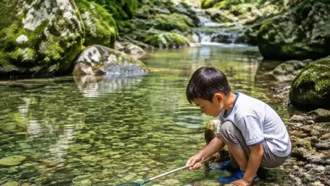 23°C Libo: The ultimate family getaway! Stay in a glass-house pool homestay and explore karst caves on this family trip — traveler post in Libo