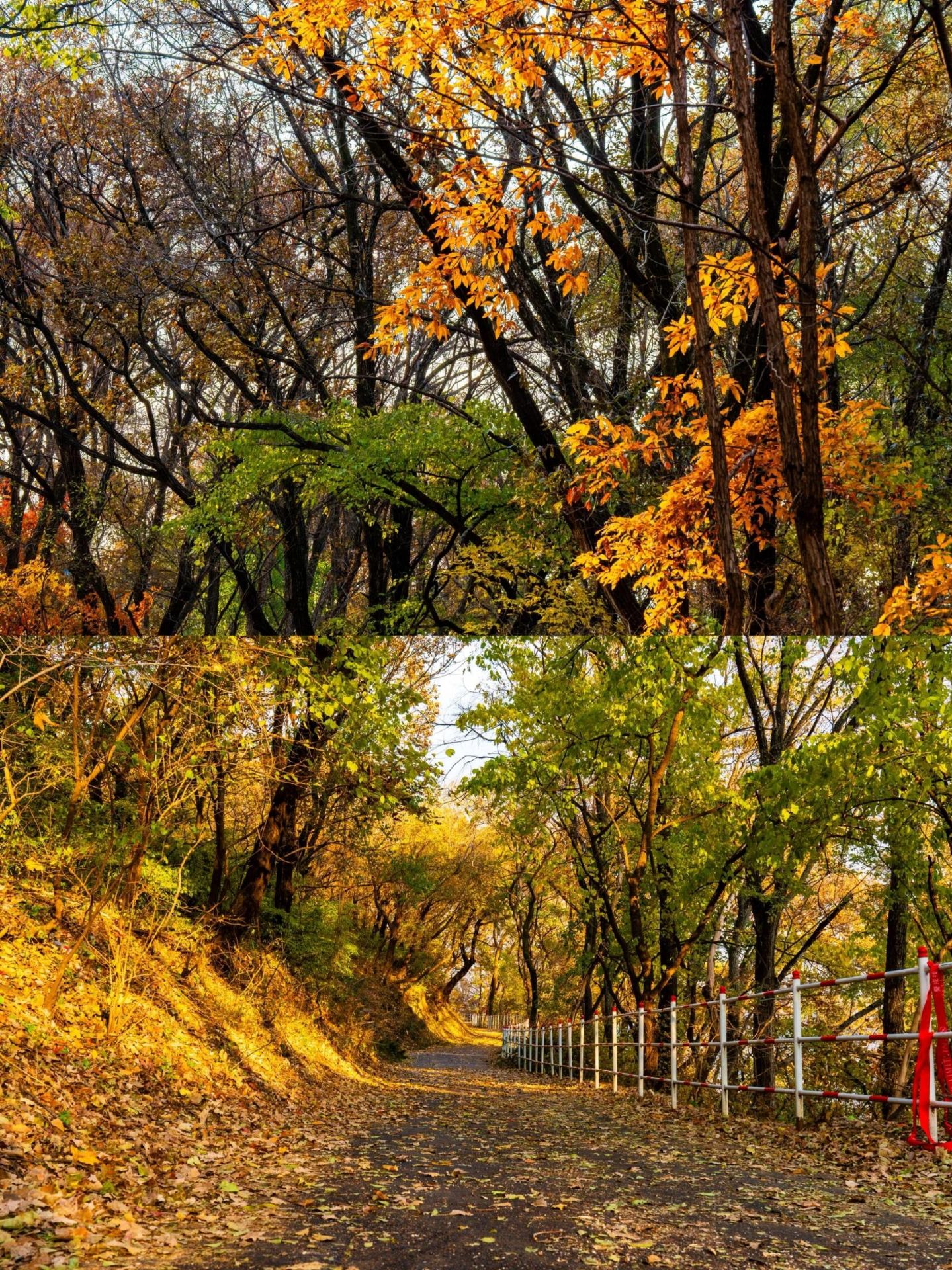 Shenyang Short Trips | 4 Hidden Gem Destinations for Your Weekend Getaway