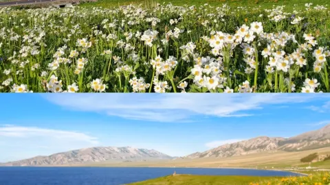 Solo road trip to Sayram Lake in Xinjiang. Revisiting an old haunt, the scenery is still as beautiful as ever, but — traveler post in Bole